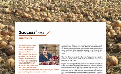 Succes Neo - Onion Thrips 