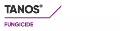 Brand_Logo