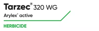 Brand_Logo