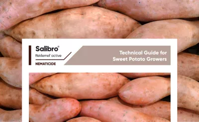 Salibro Reklemel Technical Guide for Sweet Potato Growers 