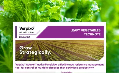 Verpixo Leafy Veg Technote