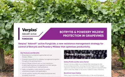 Verpixo botrytis pmd vineyards DET 02 Product Technote 328w x 200h.jpg