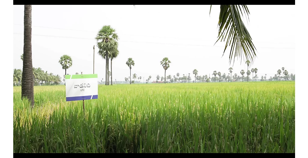 Pexalon Video Telugu