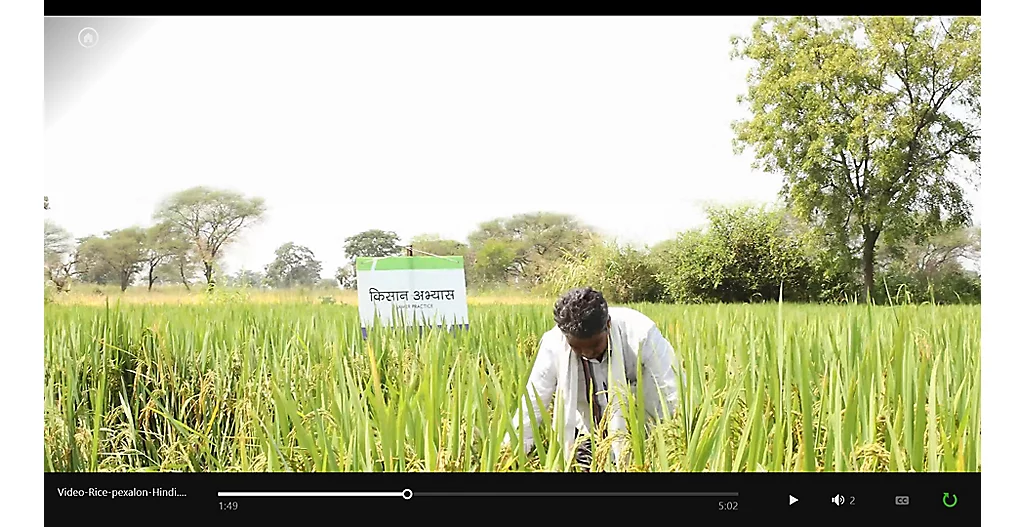Pexalon Video Hindi