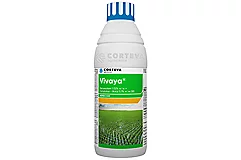 Vivaya
