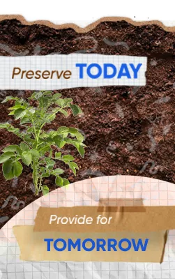 Soil Heath Card Container