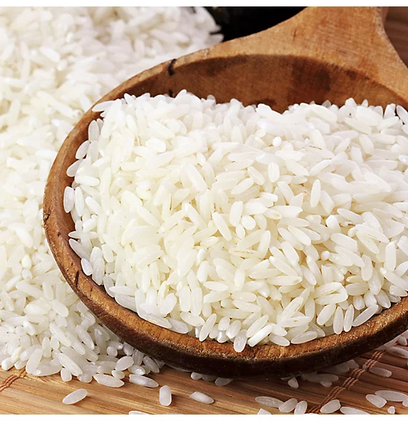 close up of bowl of white rice