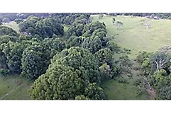 Environment