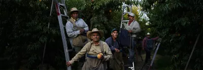 Objetivos sostenibles