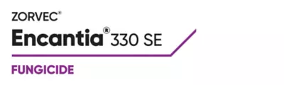 Brand_Logo