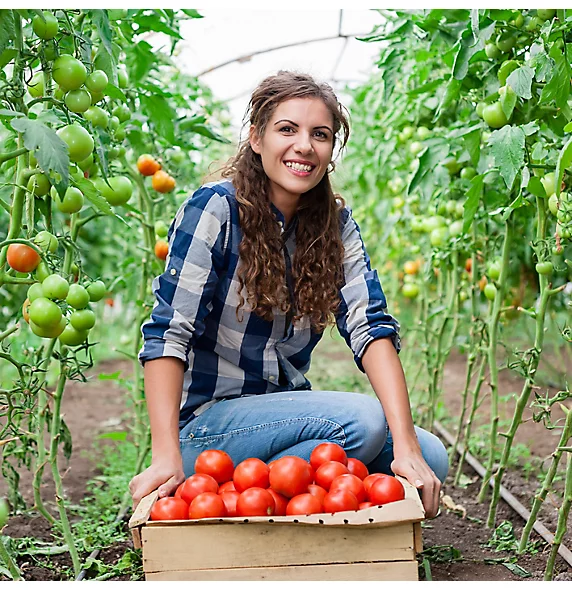 Zorvec Tomato Grower