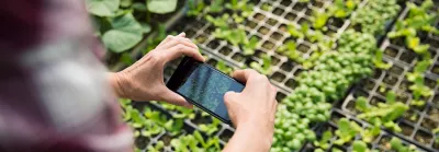 DIGITAL-AGRO