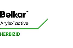 Belkar Logo