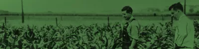 The Start of Hi-Bred Corn Company