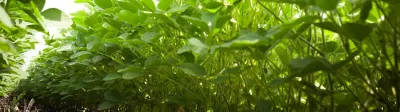 hero-products-mob