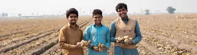 Horticulture