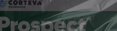 Find local support