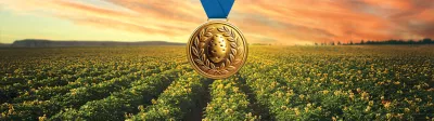 gold medal potatos 