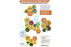 Infographic