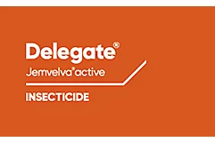 Delegate Jemvelva active Insecticide