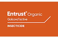 Entrust Organic Qalcova active insecticide