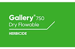 Gallery 750 Herbicide
