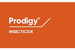 Prodigy