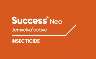 Success Neo Jemvelva active Insecticide