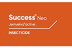 Success NEO