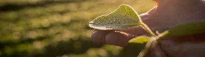 our-promise