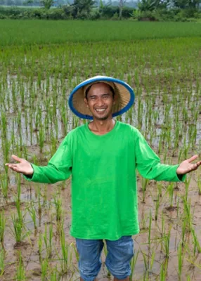Female farmers harvesting in field