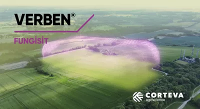verben