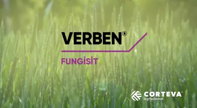 verben