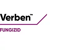 Verben Logo