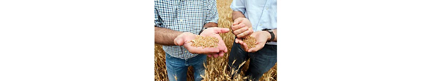 Workingwithfarmers Desktop