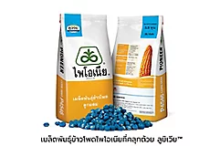 ไพโอเนีย (ลูมิเจน)