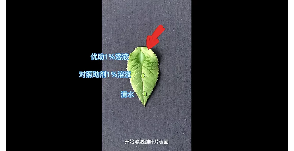 VID-优助-CN-202202.mp4