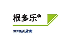 根多乐®
