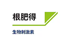 根肥得
