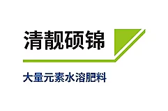 清靓硕锦
