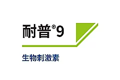 耐普®9 